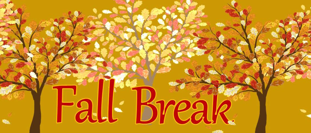 Avalo Networks | It's Fall Break Time! - Avalo Networks